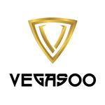 paynplay_casino_vegasoo_300x300_150x150
